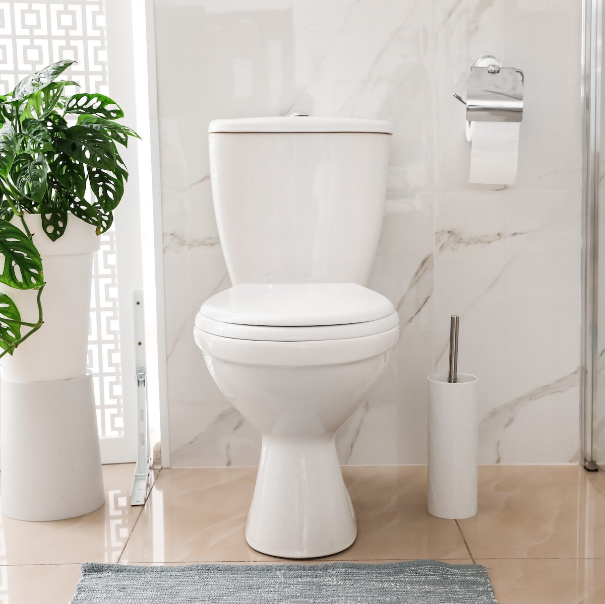 Toilet in a marble bathroom Toilet in a marble bathroom