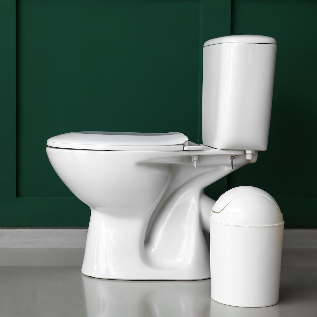 Toilet bowl with bin near green wall Toilet Profile View